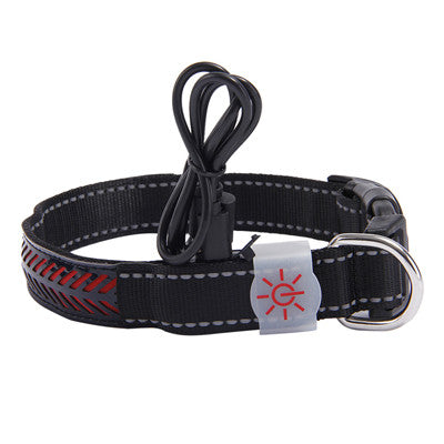 Black LED Glow Pet Collar with red carved detailing and charging cable, designed for nighttime visibility and safety.