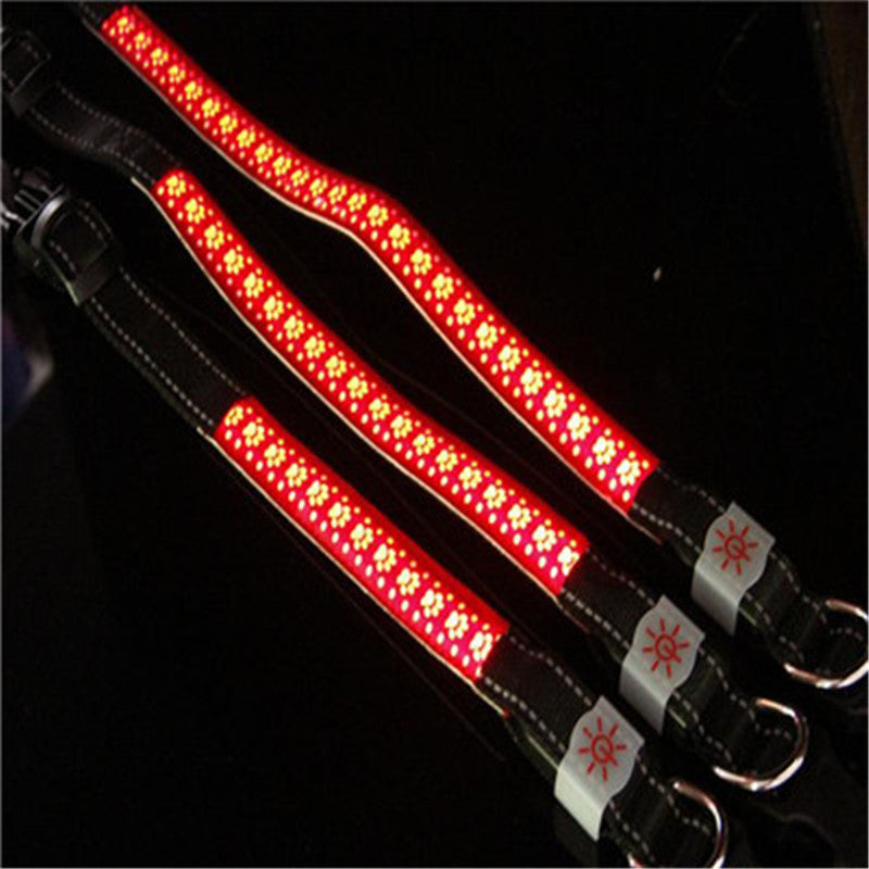 Red LED glow pet collar with a carved leather design, featuring light-up elements for visibility and safety during nighttime walks.