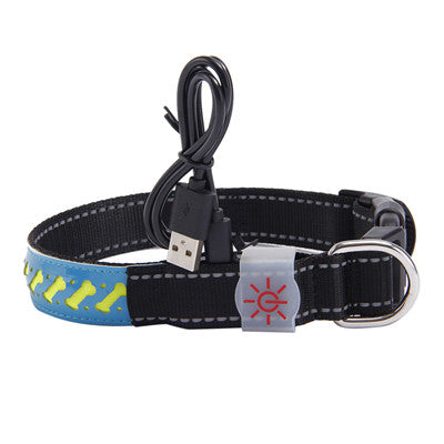 Rechargeable LED glow pet collar featuring blue carved leather, black fabric strap, and a USB charging cable.
